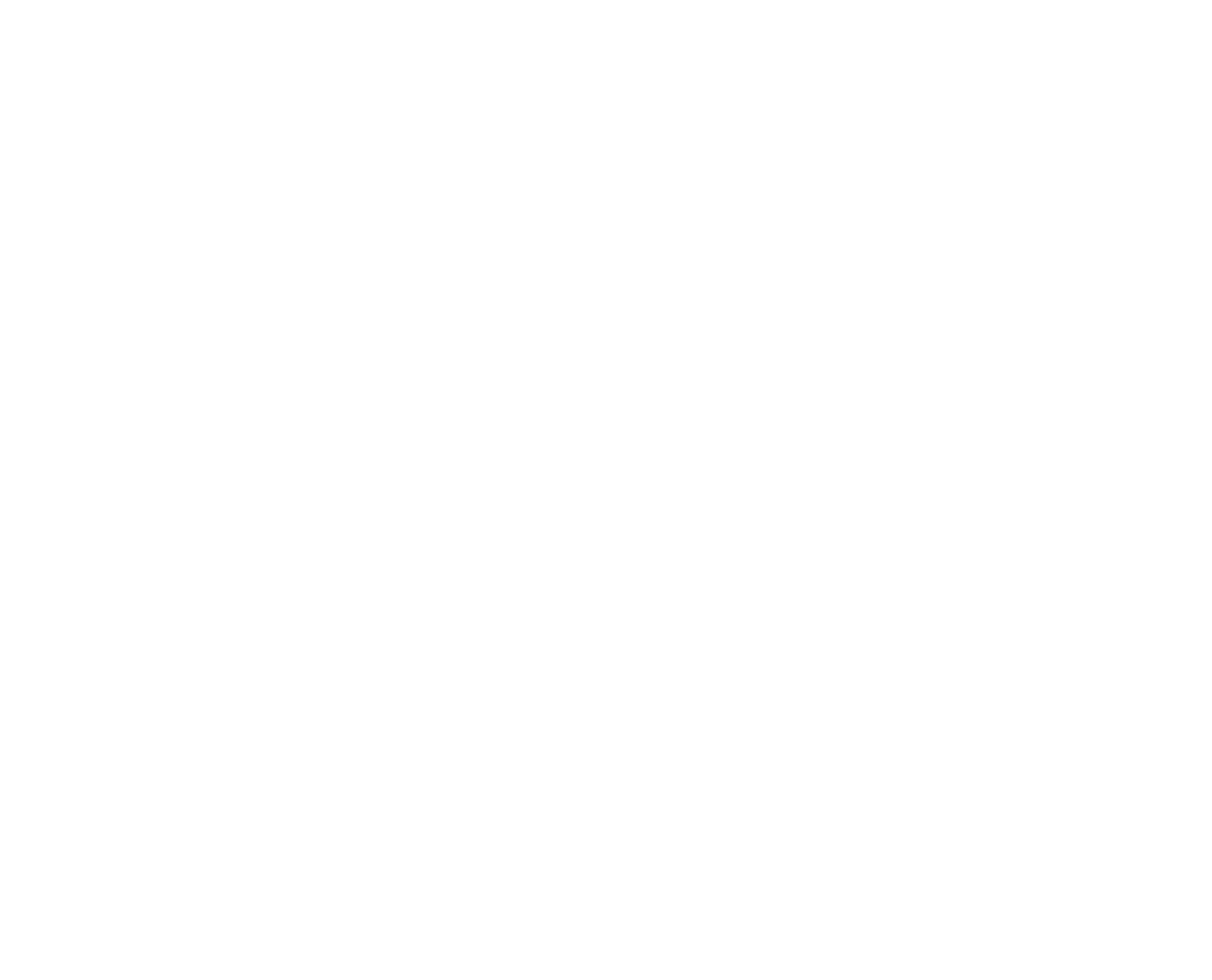 Tomek & Partners